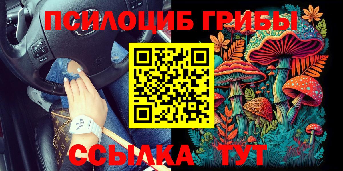 Галлюциногенные грибы Psilocybine cubensis  Вход с VPN  Ртищево 
